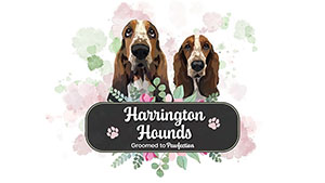 Harrington Hounds Logo Sidebar