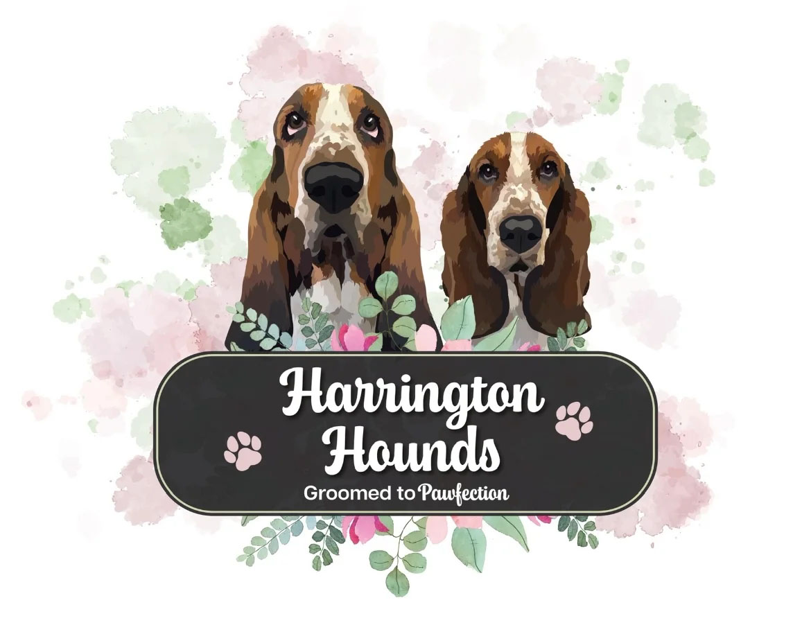 Harrington Hounds Logo