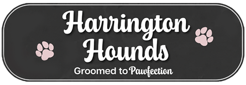 Harrington Hounds Logo