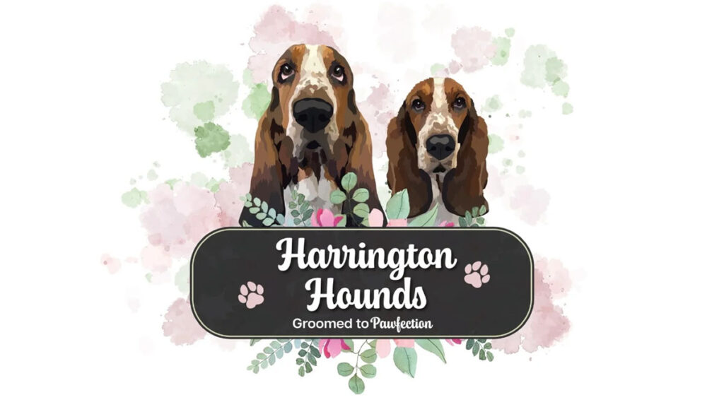 Harrington Hounds Site Image