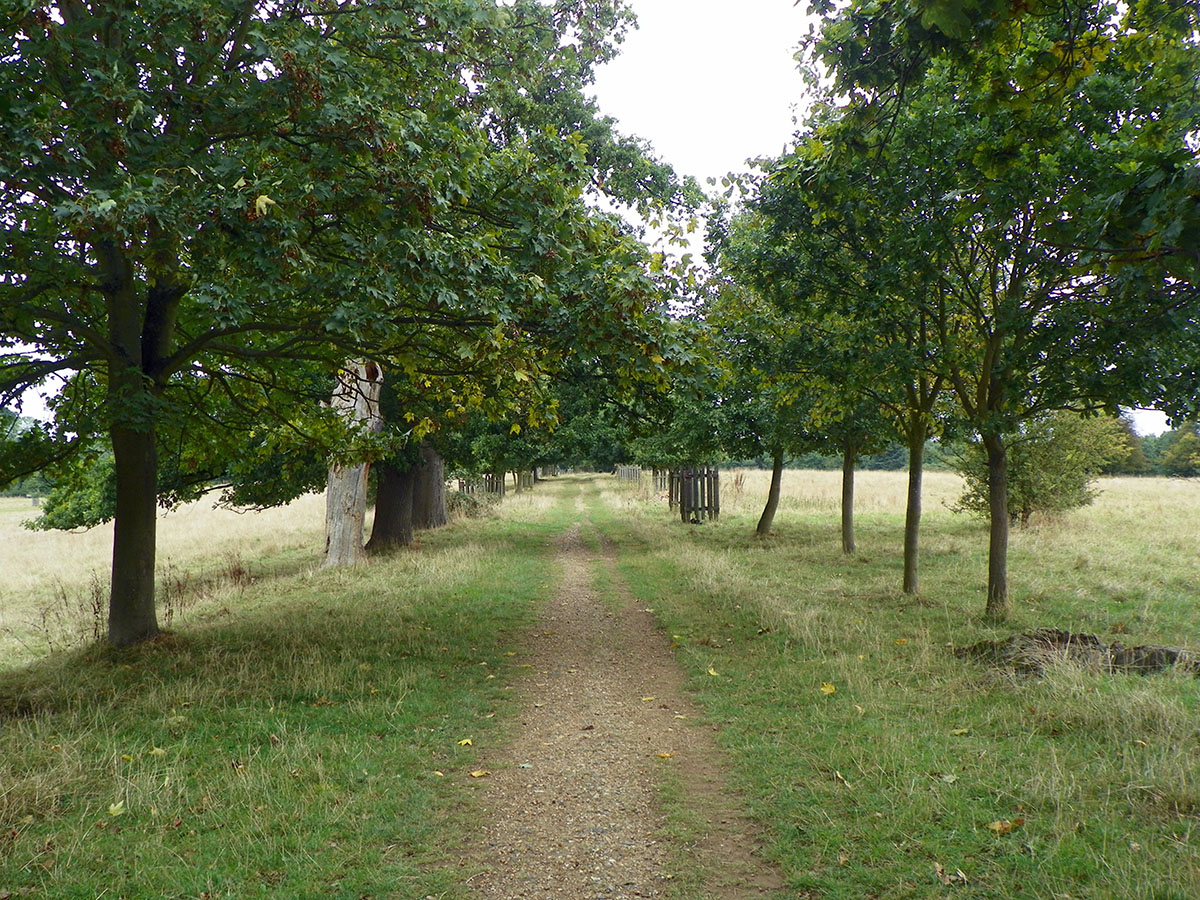 Pishiobury Park, Sawbridgeworth